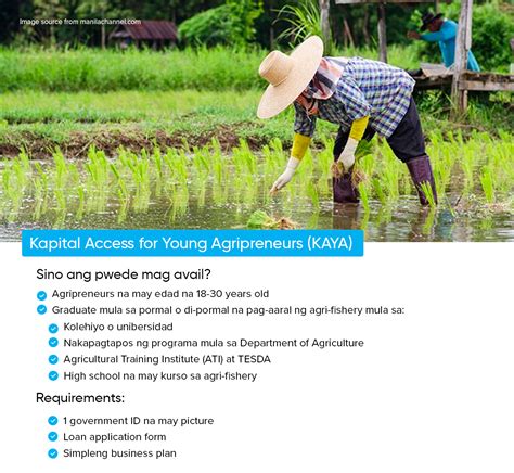 Empowering Youth in Agriculture: The Kapital Access for Young .